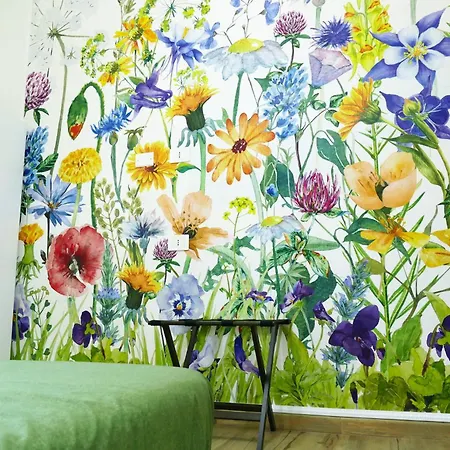 فندق مبيت وإفطار My Dream In روما