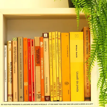 My Dream In Ρώμη