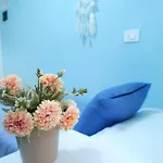 My Dream In